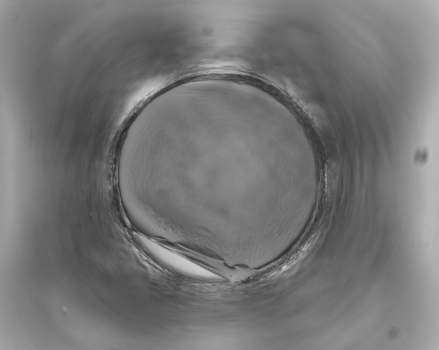X0000093741405200711131050