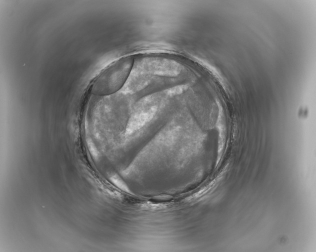 X0000093741407200711131050