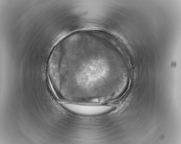 X0000093741409200711131051