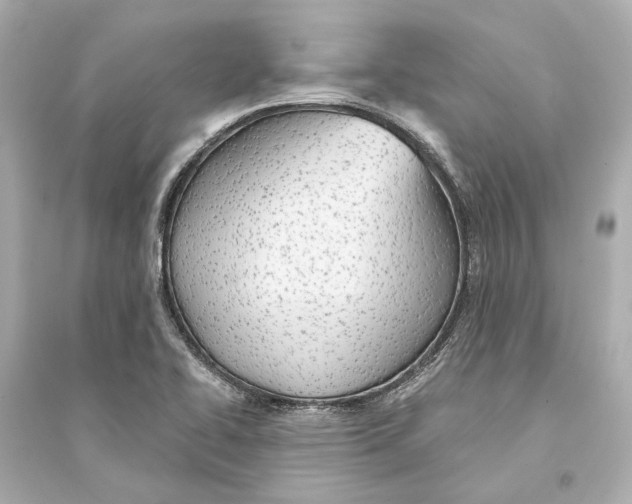 X0000093741414200711131051