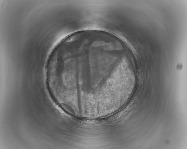 X0000093741416200711131051