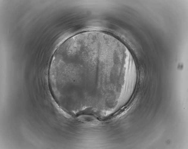 X0000093741417200711131051