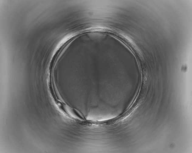 X0000093741418200711131051