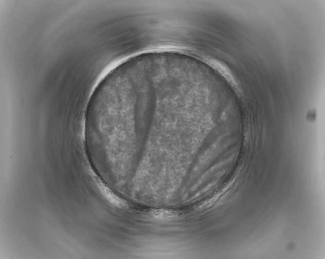 X0000093741420200711131051