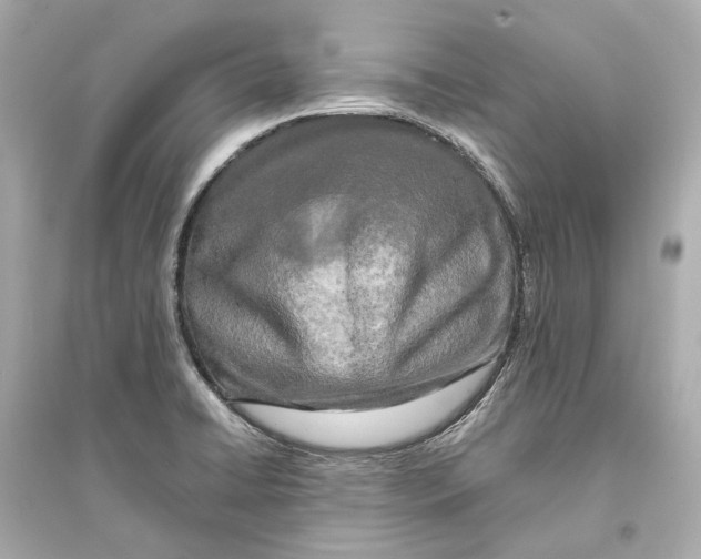 X0000093741422200711131051