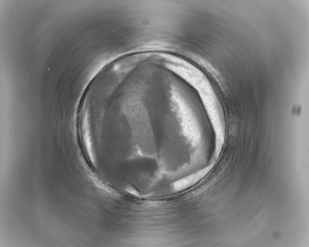 X0000093741423200711131051