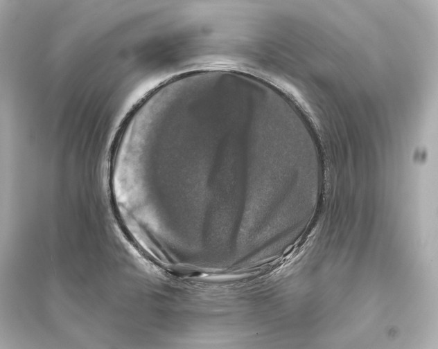 X0000093741424200711131051