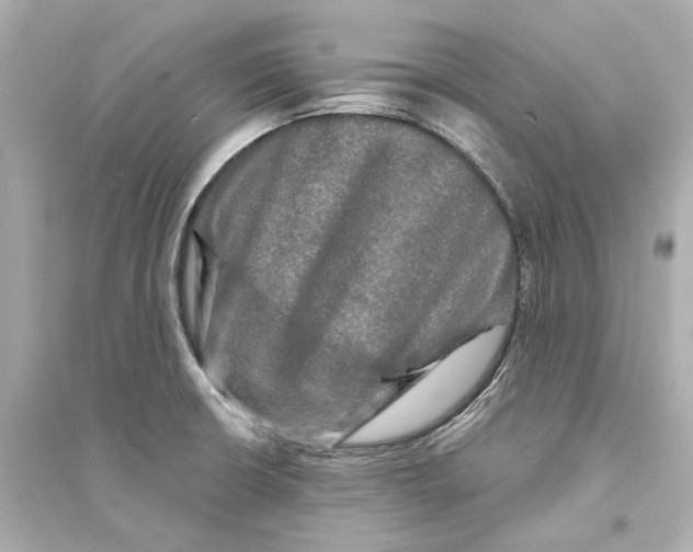 X0000093741426200711131051