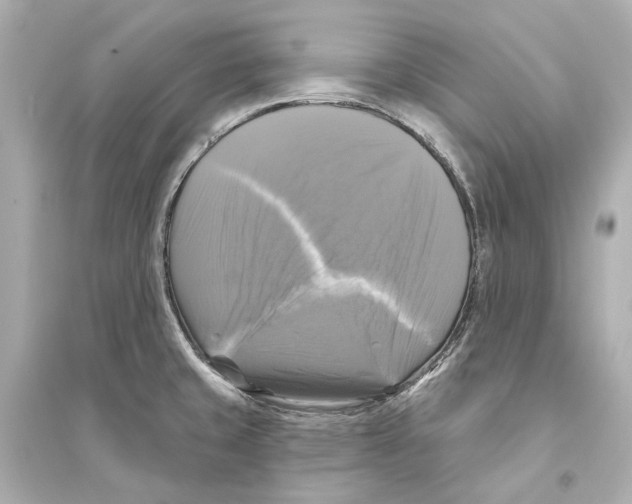 X0000093741429200711131051