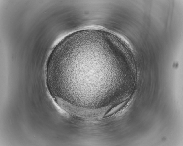 X0000093741430200711131051