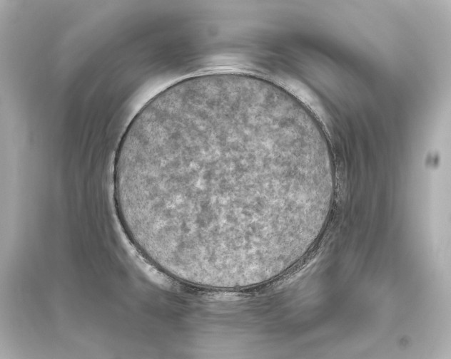 X0000093741431200711131051