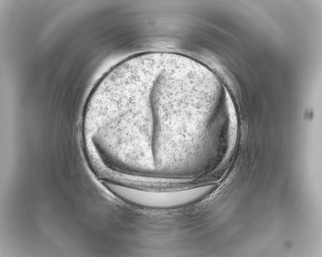 X0000093741432200711131051