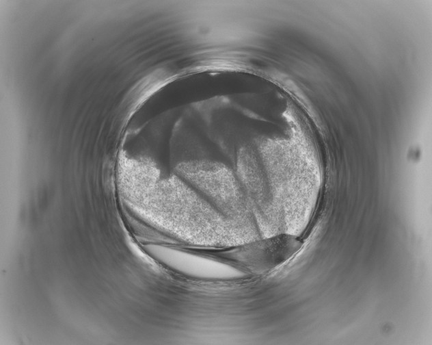 X0000093741433200711131051