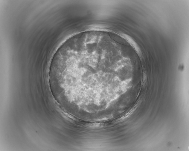 X0000093741435200711131051