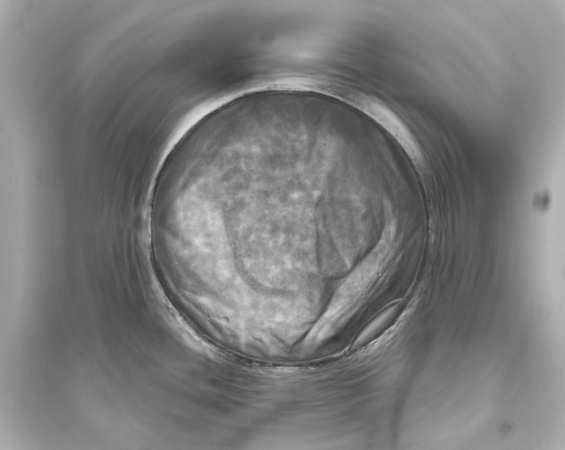 X0000093741436200711131051