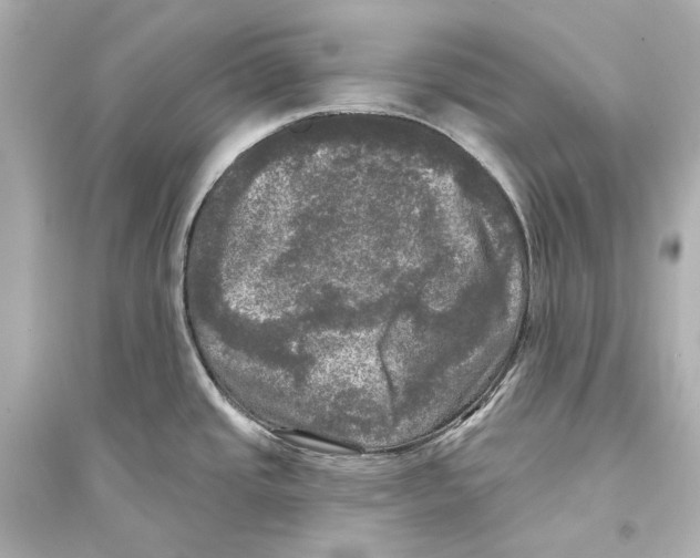 X0000093741437200711131051