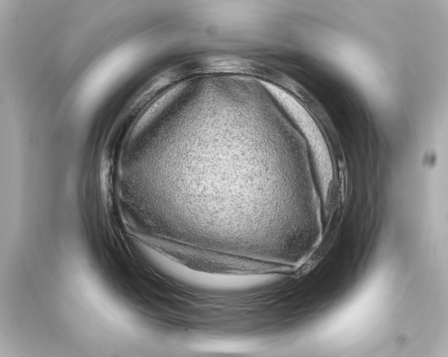 X0000093741438200711131051