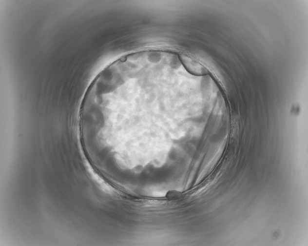 X0000093741439200711131051