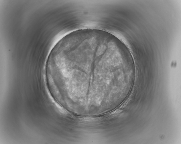 X0000093741440200711131051