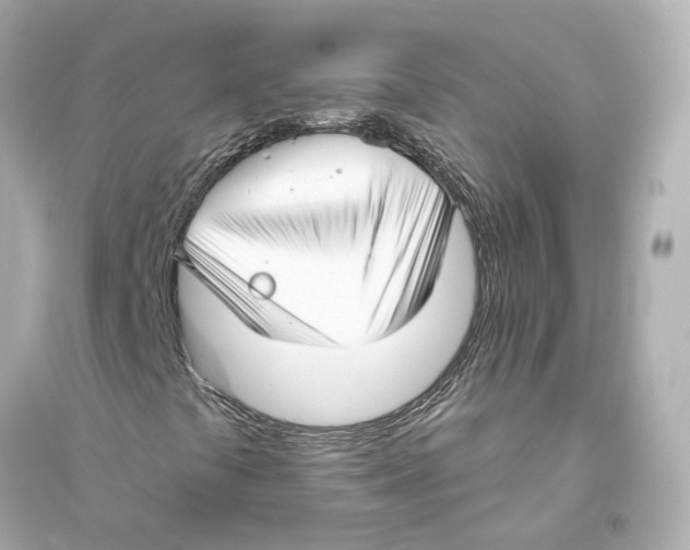 X0000093741441200711131050