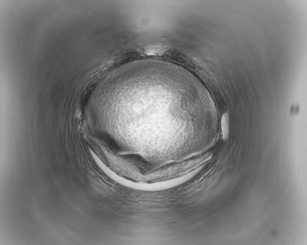 X0000093741443200711131050