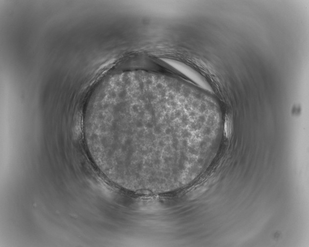X0000093741444200711131050