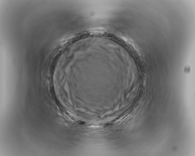 X0000093741445200711131050