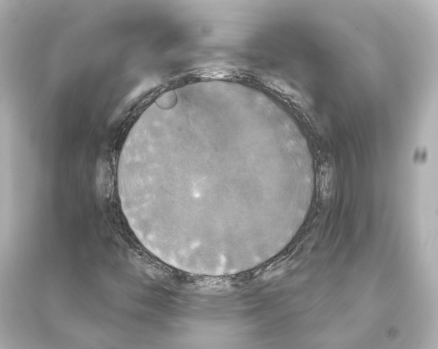 X0000093741446200711131050