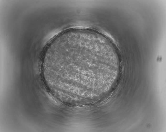 X0000093741448200711131050
