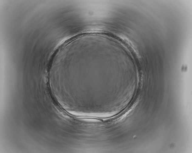 X0000093741449200711131050
