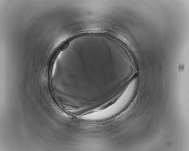 X0000093741450200711131050