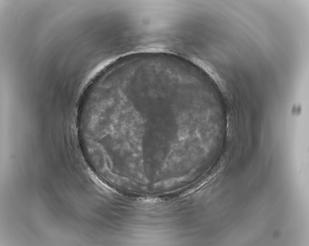X0000093741452200711131050