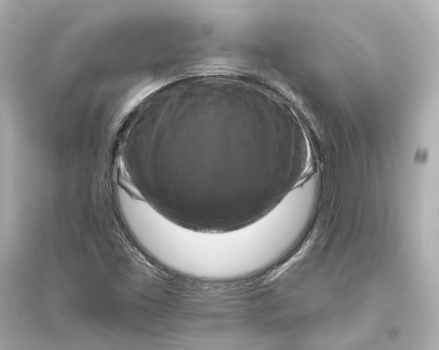 X0000093741453200711131050