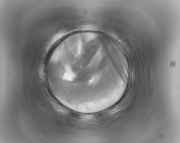 X0000093741454200711131050