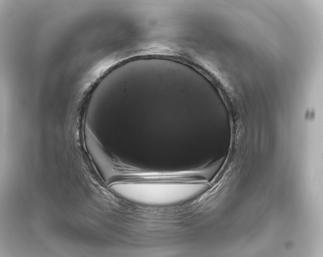 X0000093741455200711131050