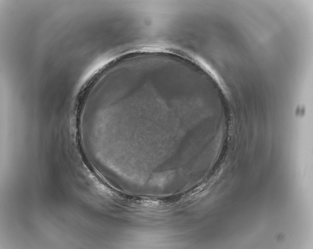 X0000093741456200711131050