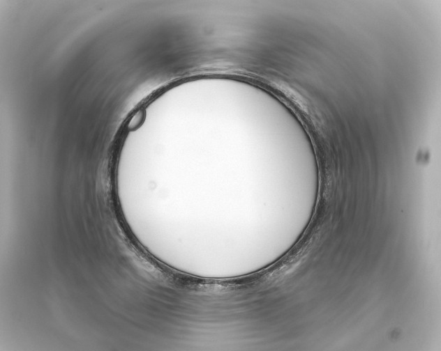 X0000093741458200711131050
