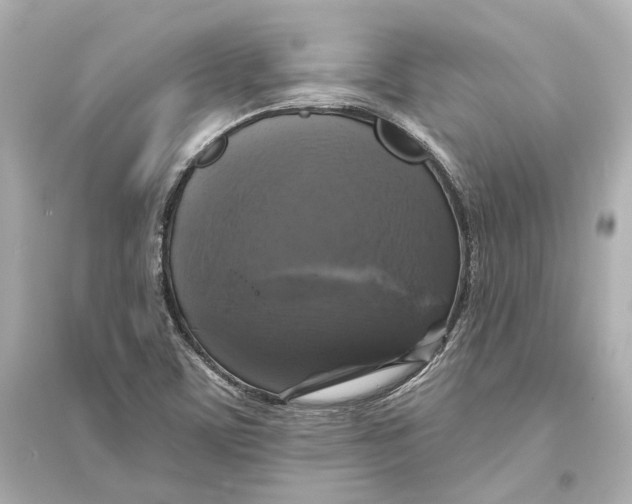 X0000093741459200711131050