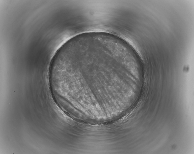X0000093741460200711131050