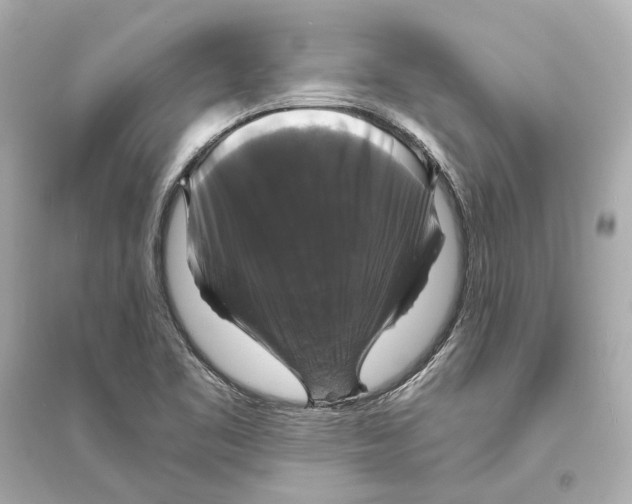 X0000093741461200711131050