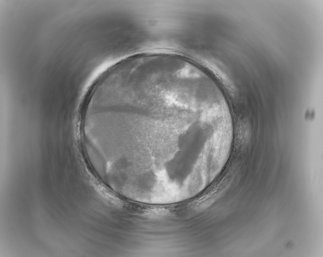 X0000093741462200711131050