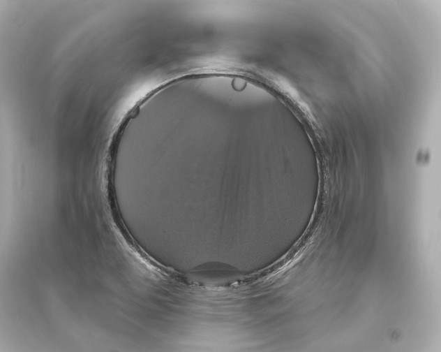 X0000093741463200711131050