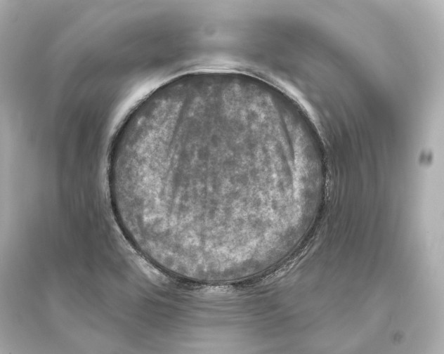 X0000093741464200711131050