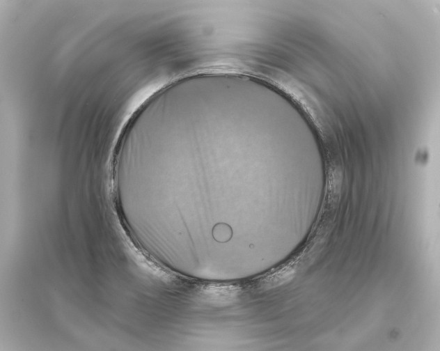 X0000093741466200711131050