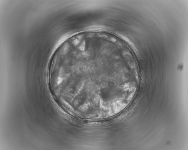 X0000093741467200711131050