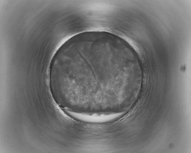 X0000093741468200711131050