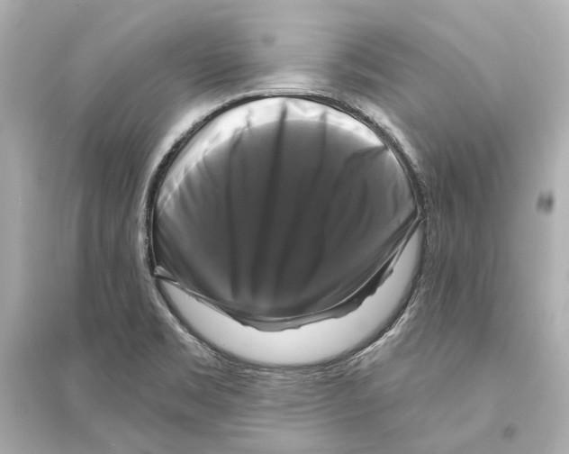 X0000093741469200711131050