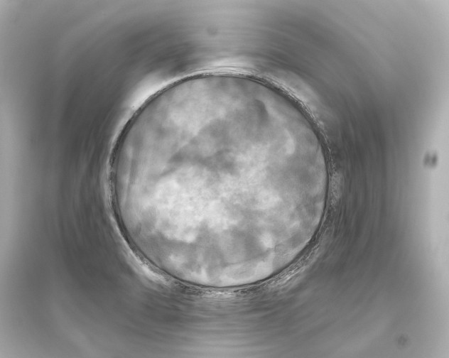 X0000093741470200711131050
