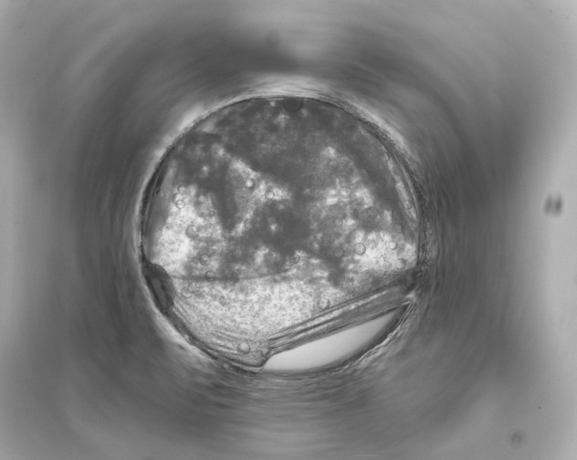 X0000093741471200711131050