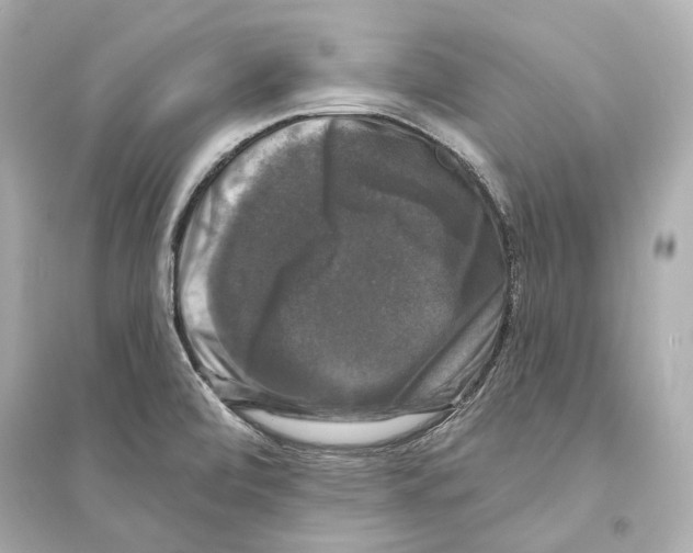 X0000093741472200711131050